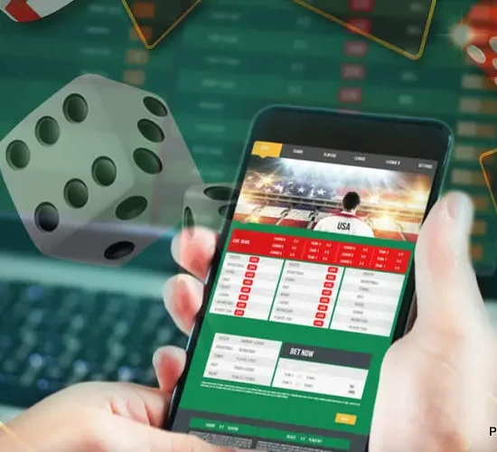 Live Casino Review: A Trusted Platform for Online Gaming